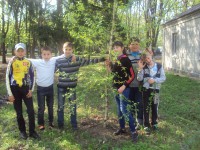 /album/fotogalereya/dsc04020-jpg/